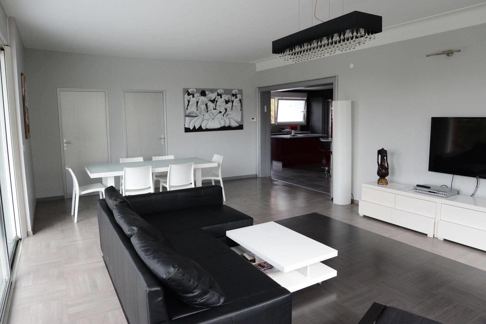 Appartement Terrasse Sur Pompidou - *